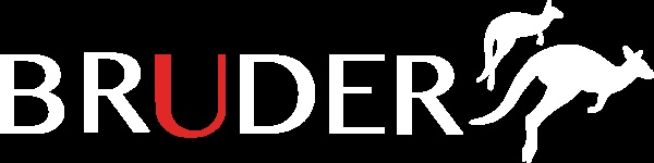 Dealer Logo